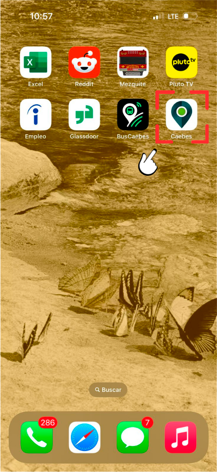 Instalación de la App en iOS 3